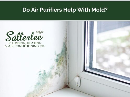Do air purifiers help with mold
