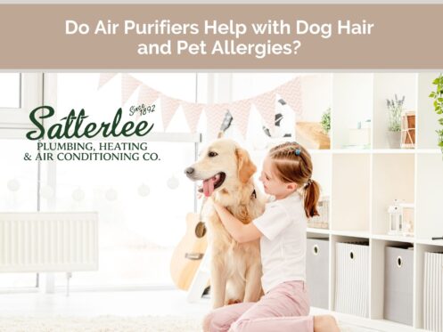 Do air purifiers help with dog hair and pet allergies