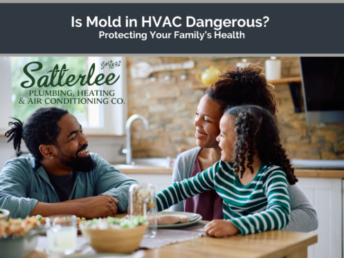 Is mold in hvac dangerous protecting your family’s health 4