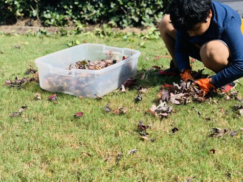 HVAC Maintenance Plan: Fall Yard Cleaning